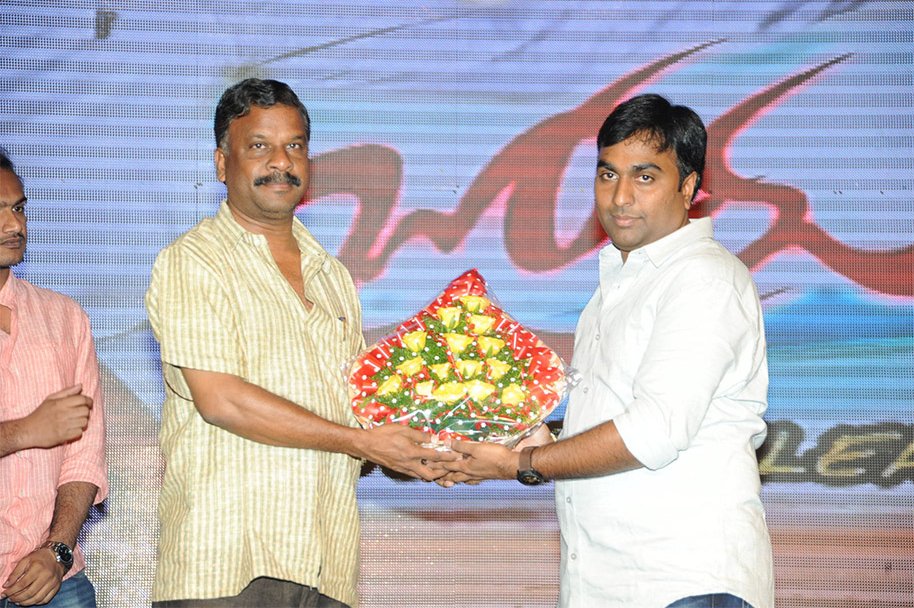 Joru-Movie-Audio-Launch